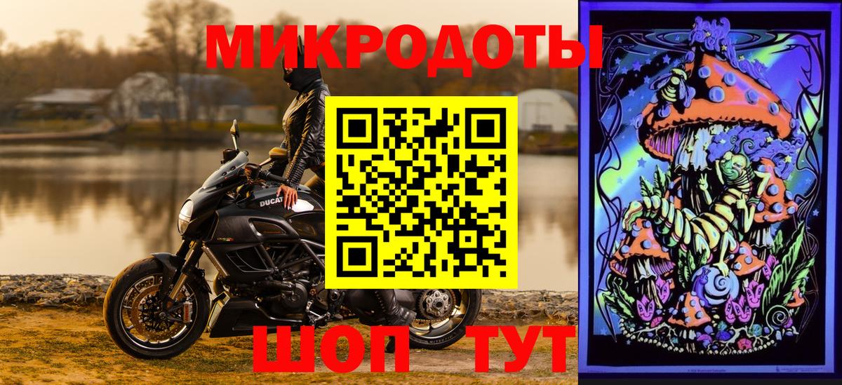 Псилоцибиновые грибы Psilocybe Ликино-Дулёво